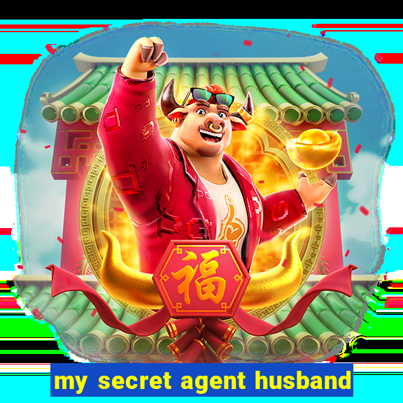 my secret agent husband