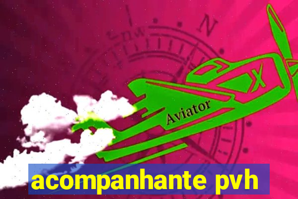 acompanhante pvh