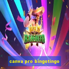 canva pro bingotingo