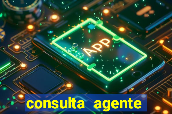 consulta agente autuador sp