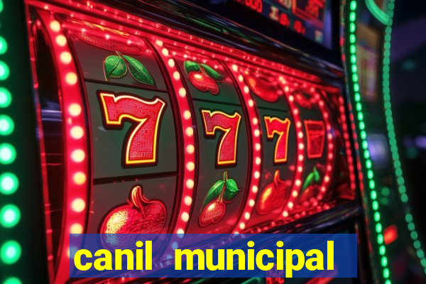 canil municipal porto alegre