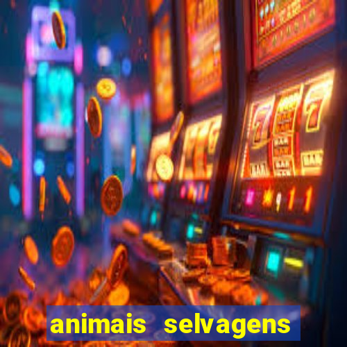 animais selvagens fotos e nomes