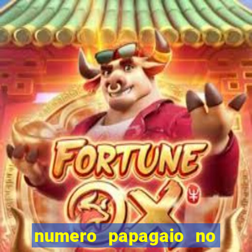 numero papagaio no jogo do bicho